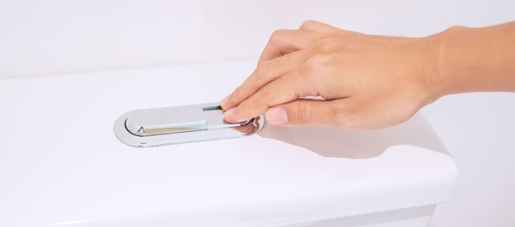 オーストラリアのトイレでは一般的な、ボタン式の水洗ボタン。