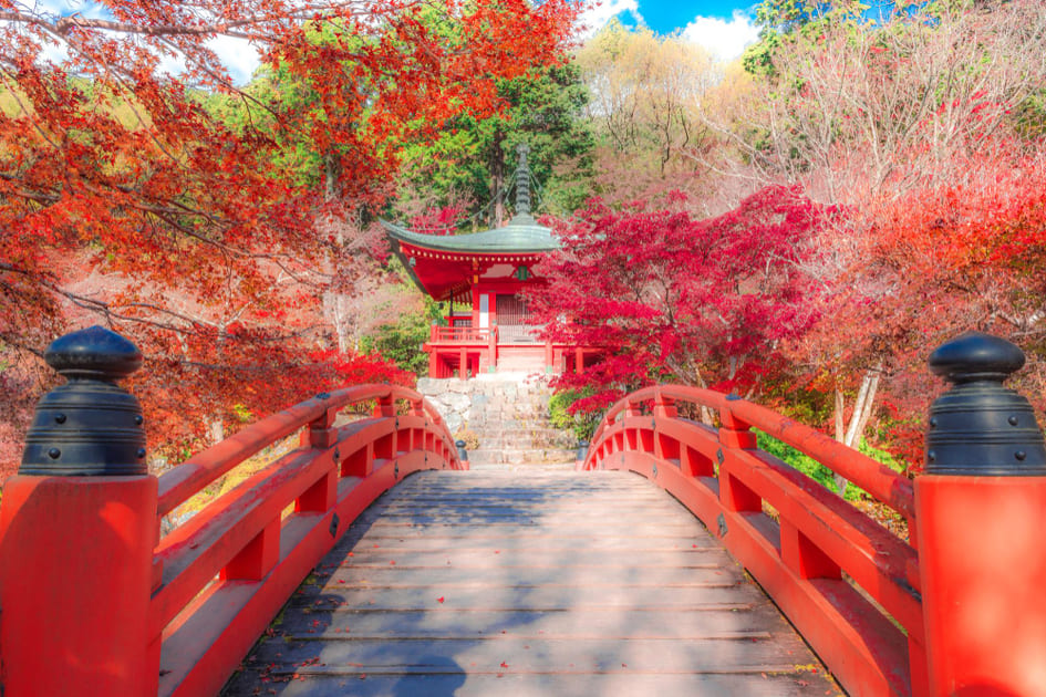 清掃が行き届いた京都の太鼓橋と秋の紅葉の景色。