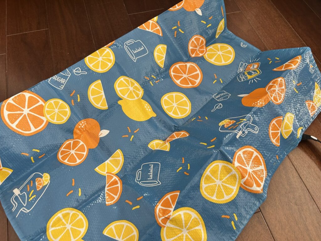 旅行に持って行くと便利なレジャーシート。