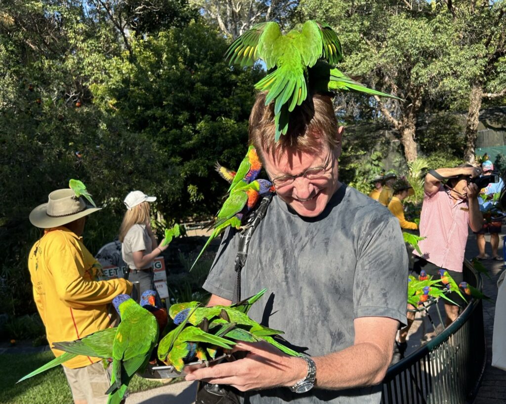 オーストラリアでコアラを抱っこできるカランビンワイルドライフサンクチュアリの入り口でカラフルなロリキートの餌付けをしている男性。
